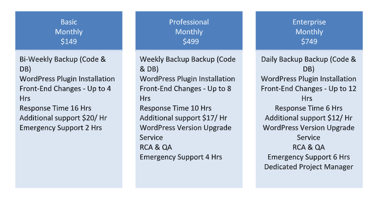 Wordpress Website Maintenance Packages